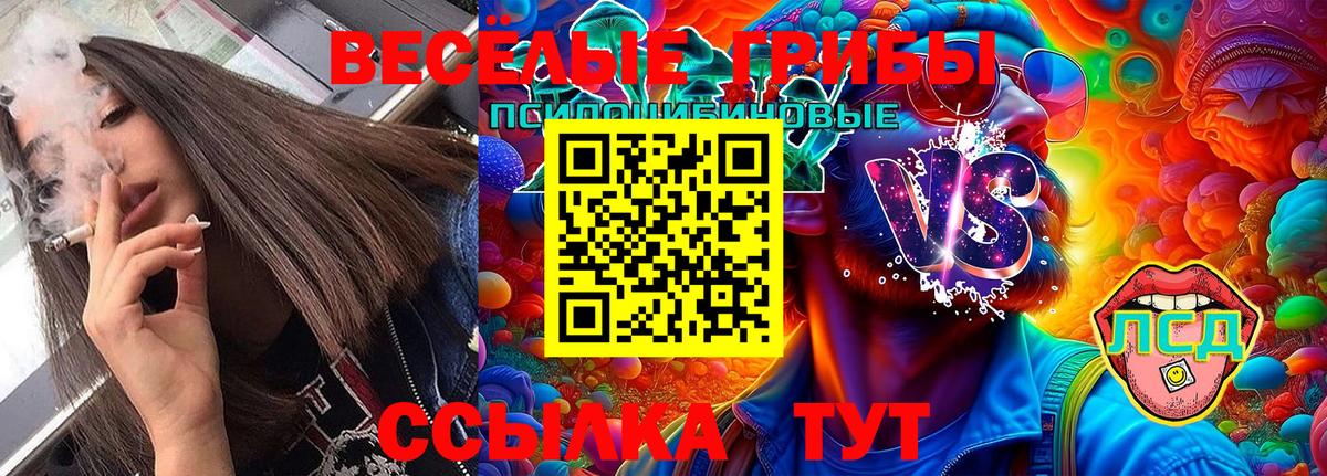 Псилоцибиновые грибы Cubensis Реж