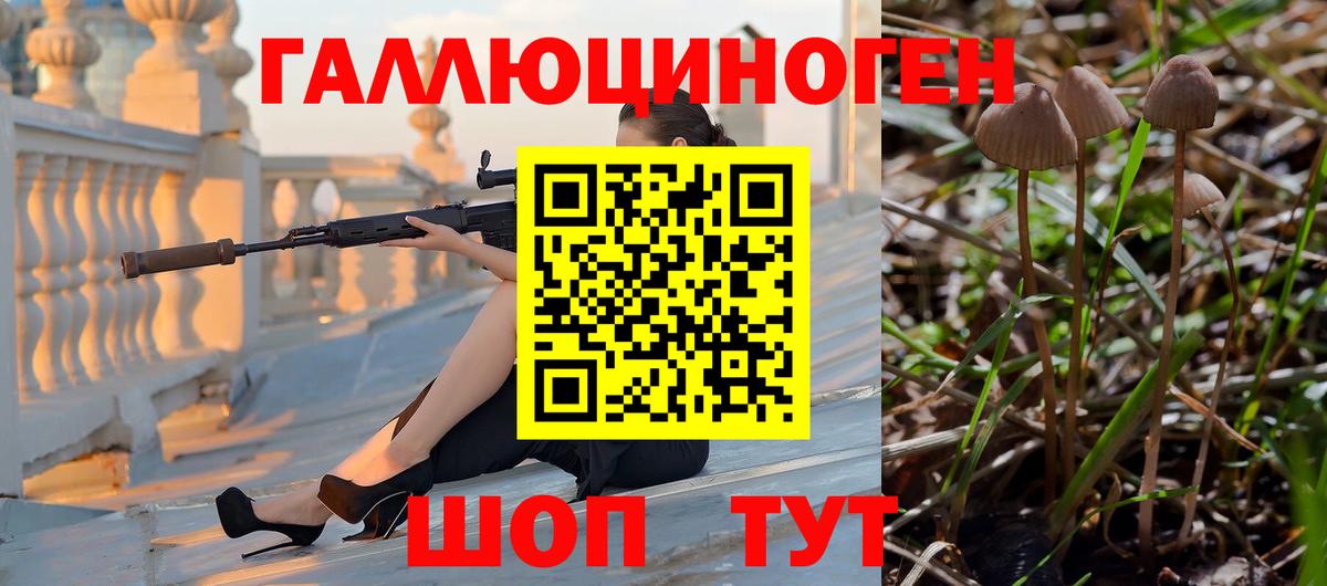 Реж  Галлюциногенные грибы GOLDEN TEACHER  Галлюциногенные грибы GOLDEN TEACHER  Вход с VPN 